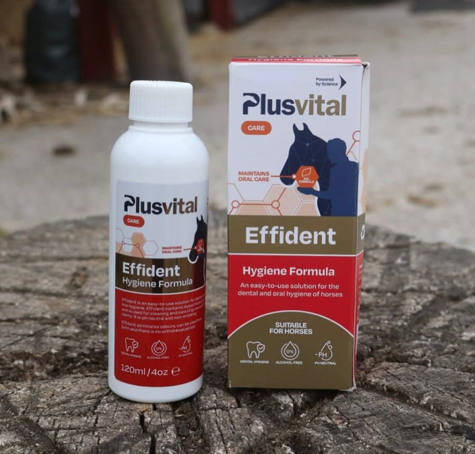 Plusvital Effident 120ml Oral hygiene