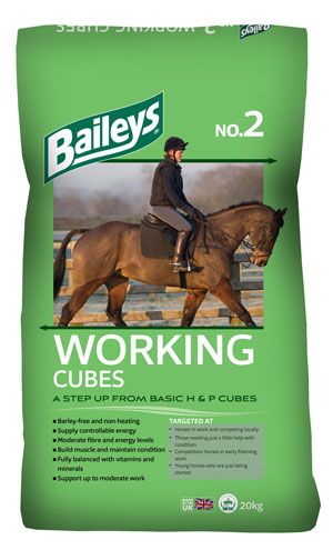 Baileys No 2 Working Cubes 20kg