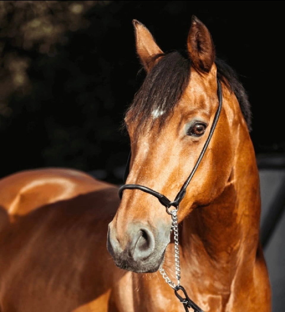 KEYFLOW NUTURE PRO 15kg**PRE-ORDER ONLY**DUBLIN HORSE SHOW**USE THE CODE**