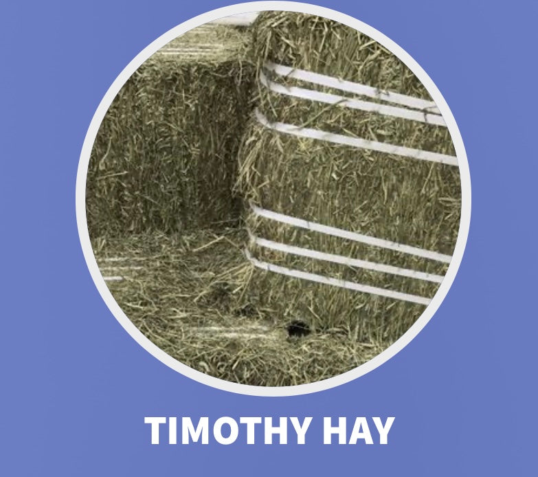 CANADIAN TIMOTHY HAY**IN STORE COLLECTION ONLY**