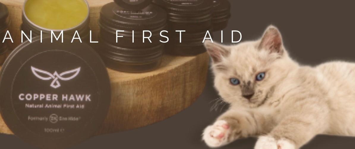 Copper Hawk , animal first aid , suitable for cats , dogs & horses .