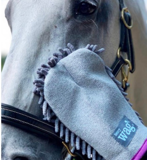 Henry Wag Equine cleaning & drying glove