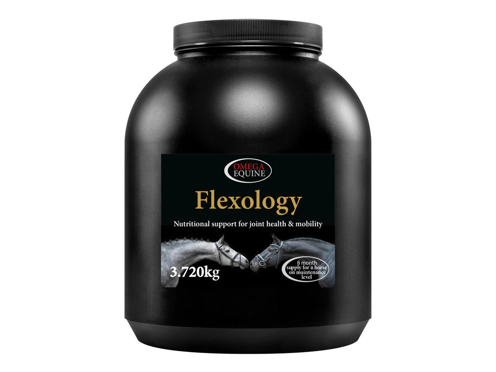 Omega Equine Flexology