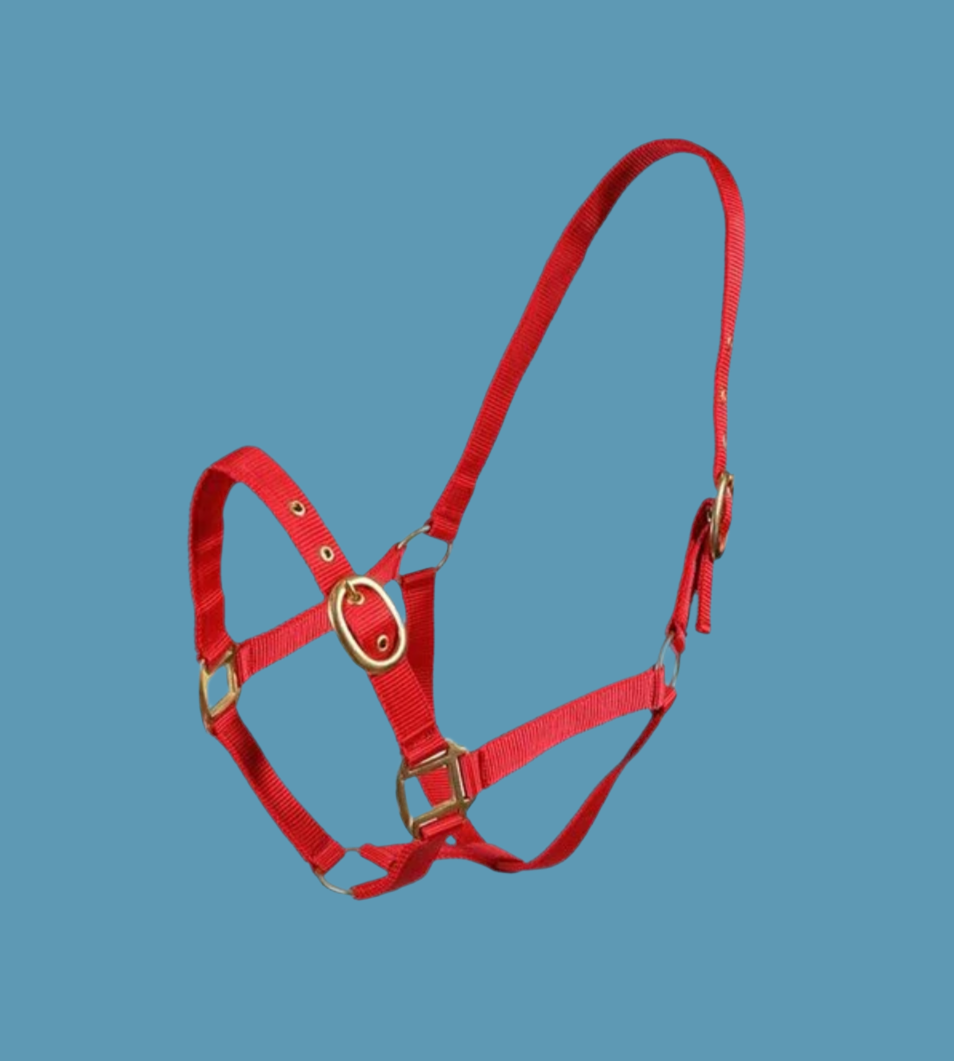 TM Nylon Halter
