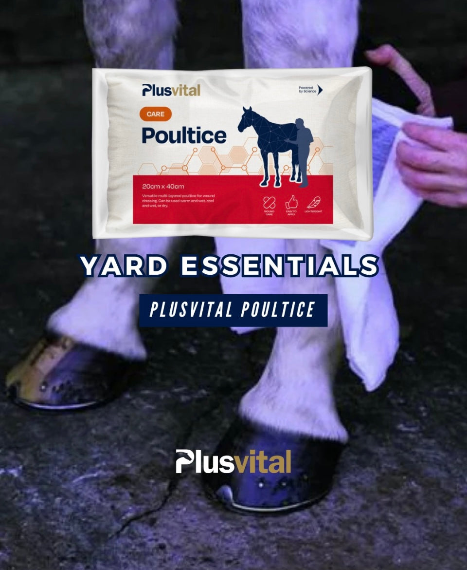 Plusvital Poultice (singles)