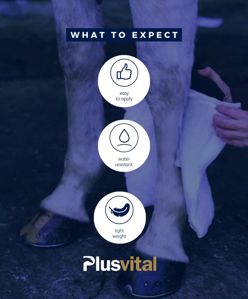 Plusvital Poultice (singles)