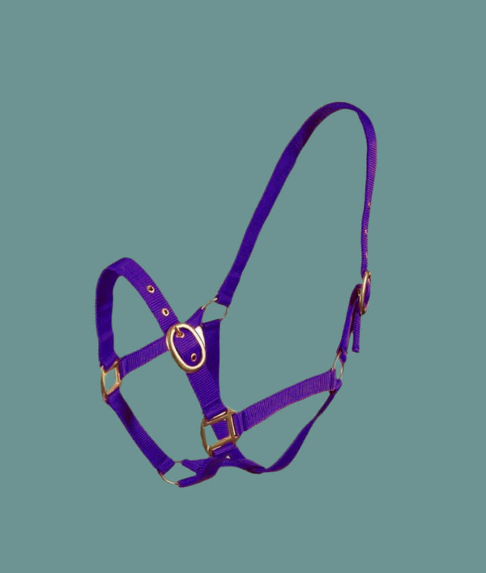 TM Nylon Halter