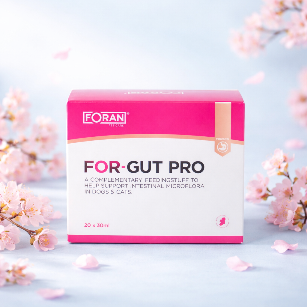 Foran FOR-GUT PRO (1 x 30ml)