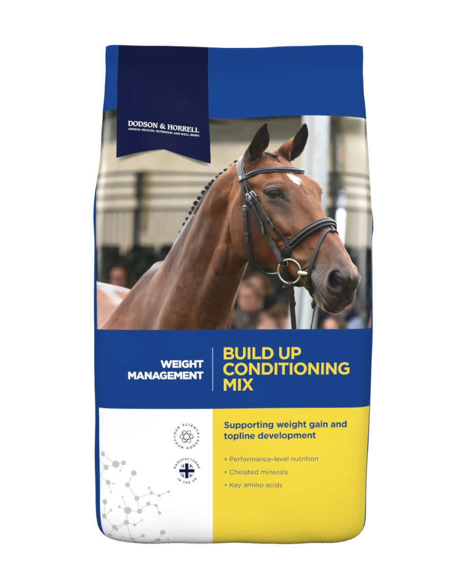 Build up conditioning mix D&H