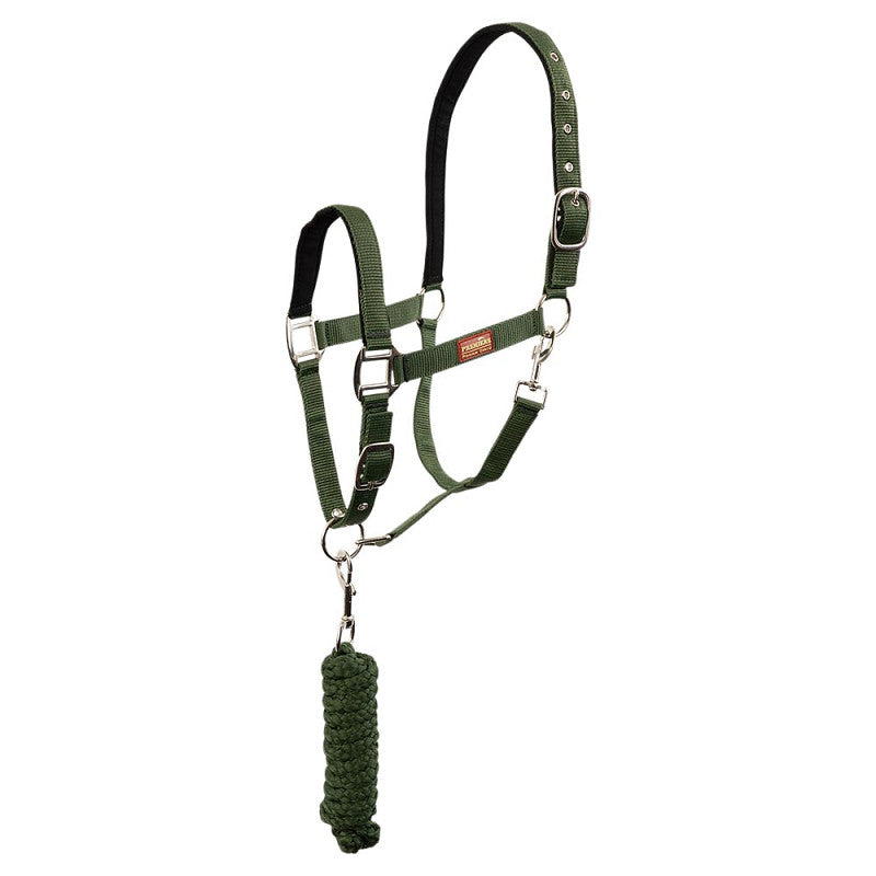 Pony Halter set snap hook
