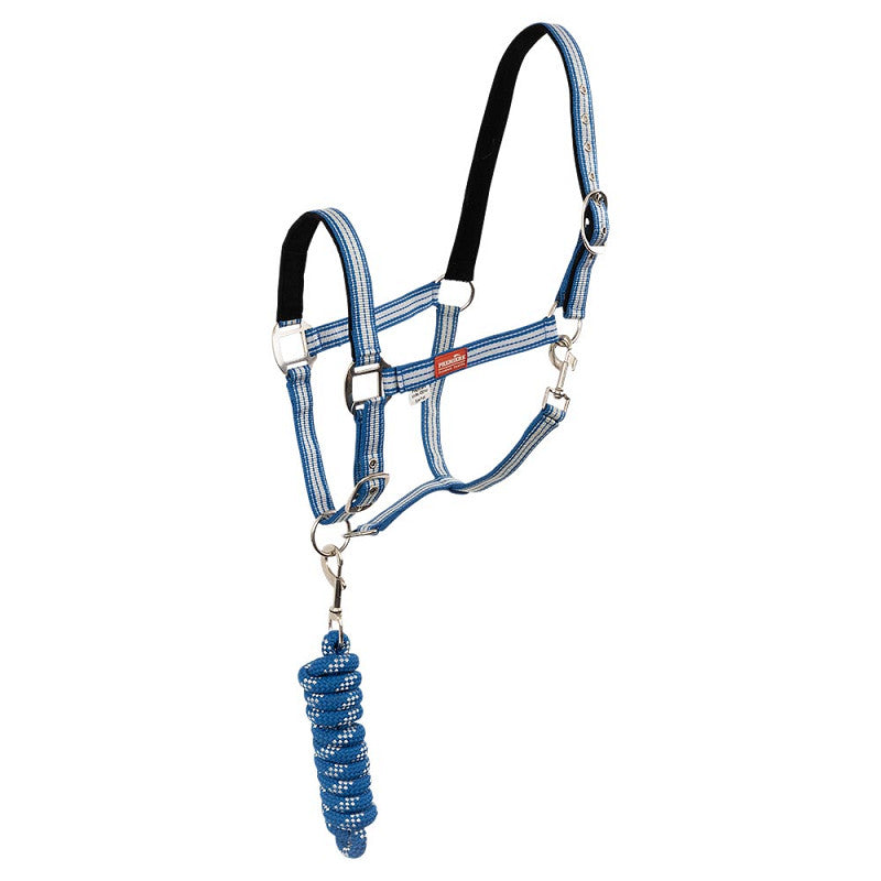 Pony Halter set