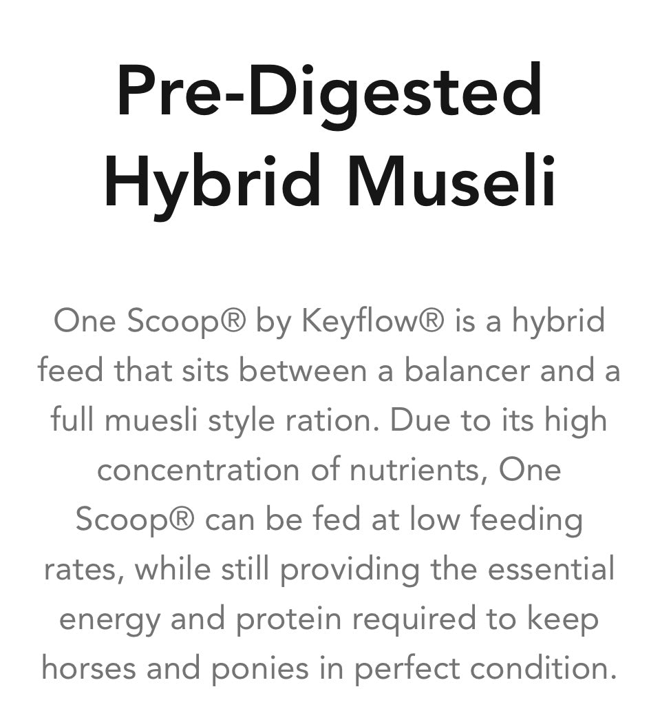 Keyflow One Scoop 15kg