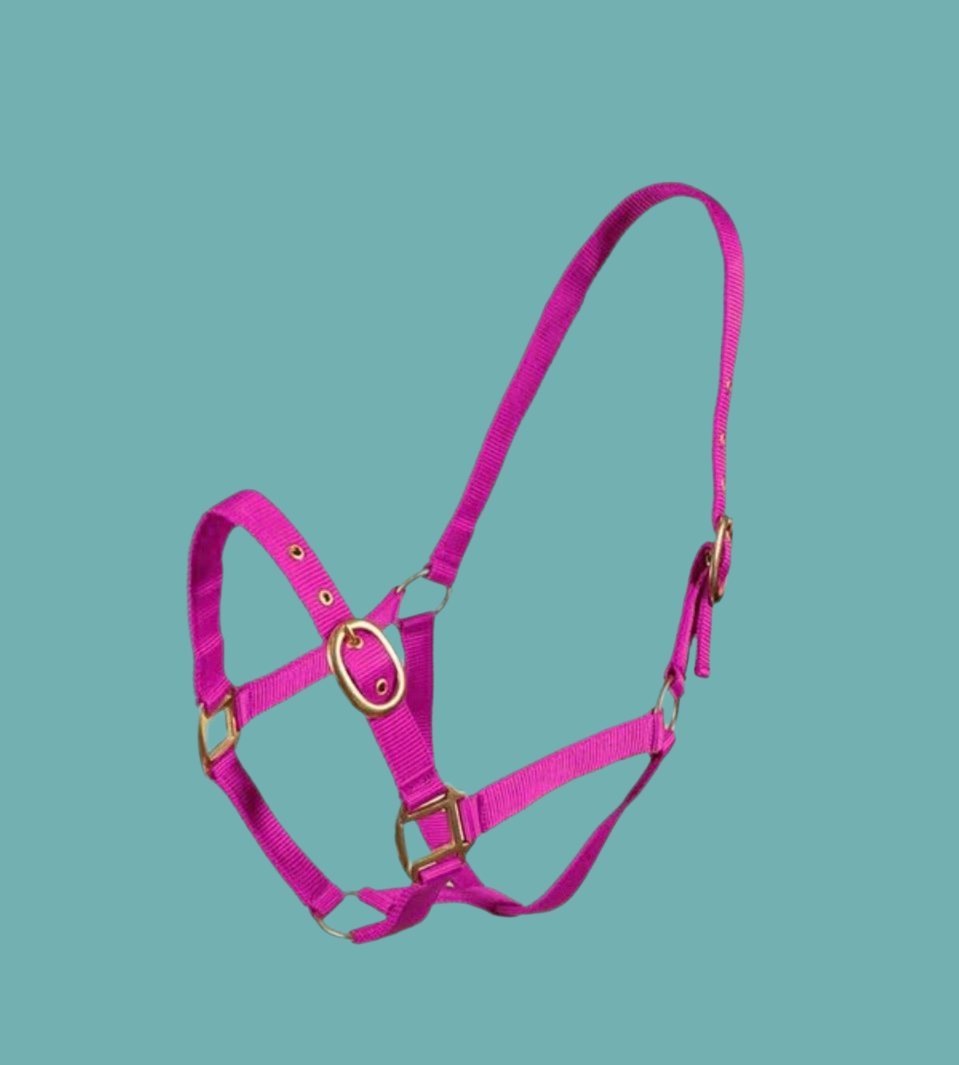 TM Nylon Halter