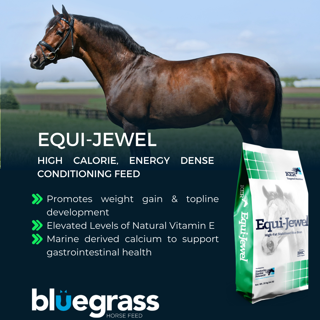 Bluegrass Equi Jewel 20kg