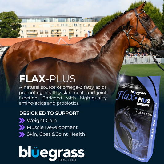 Bluegrass Flax-Plus