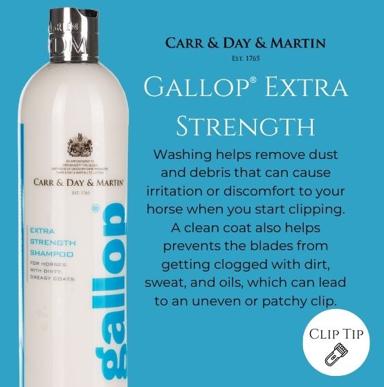 Carr Day and Martin Gallop Extra Strength Shampoo 500ml