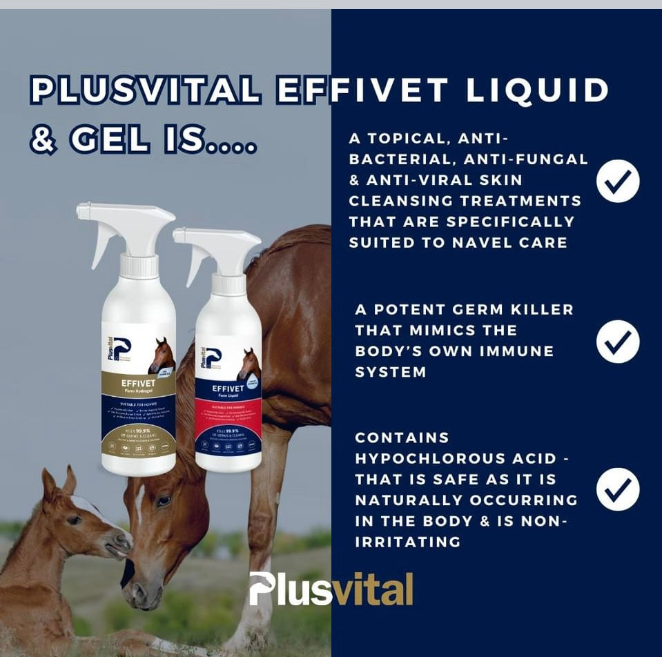 Plusvital Effivet anti-bacterial cleansing