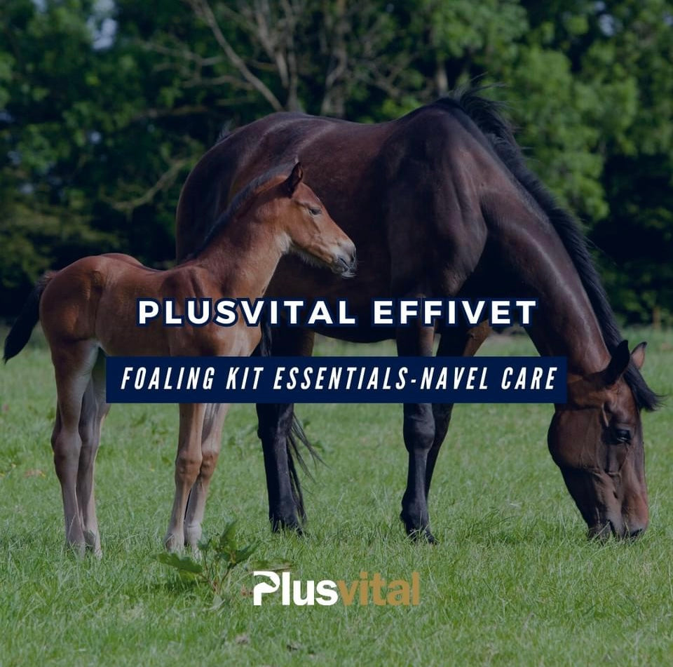 Plusvital Effivet anti-bacterial cleansing