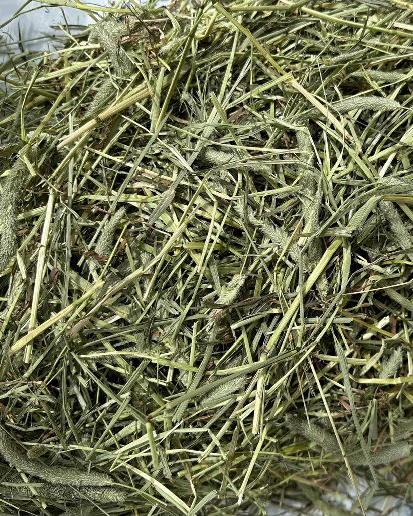 CANADIAN TIMOTHY HAY**IN STORE COLLECTION ONLY**