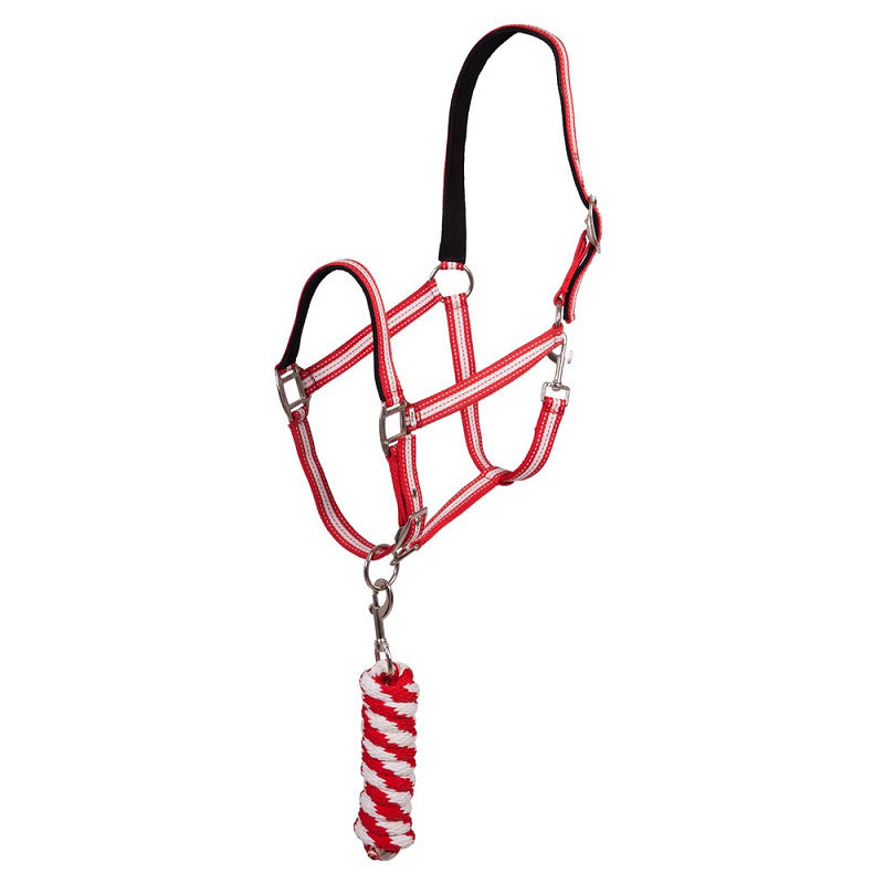 Pony Halter set