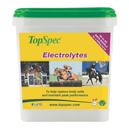 TopSpec Electrolytes 3kg