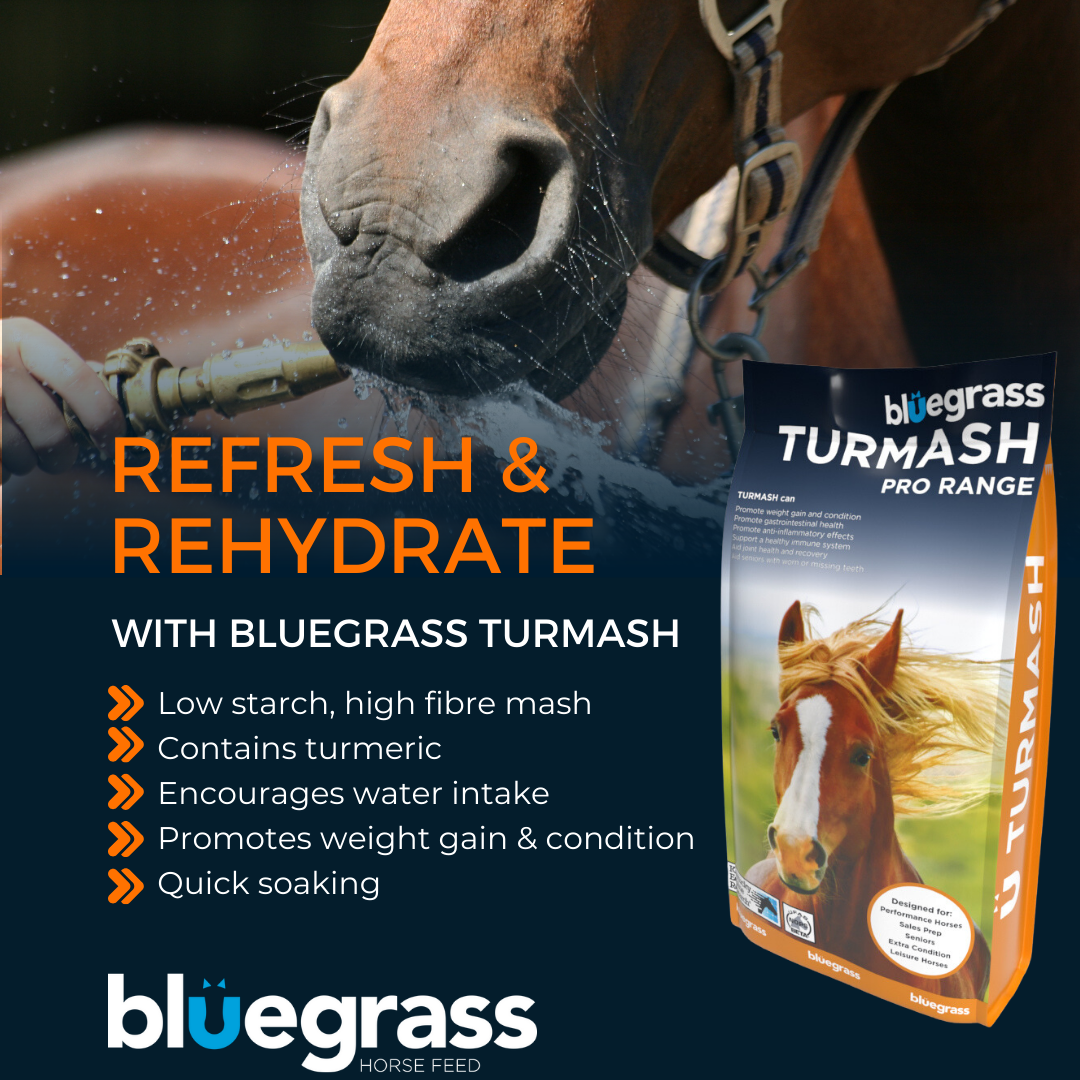 Bluegrass Turmash