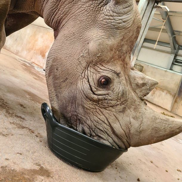 Gorilla Plas small feed skips