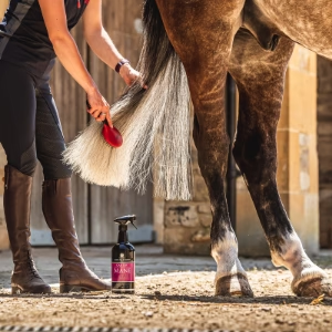 Carr Day and Martin Mane & Tail detangler 500ml