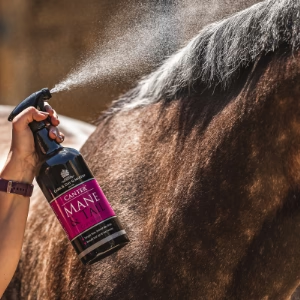 Carr Day and Martin Mane & Tail detangler 500ml