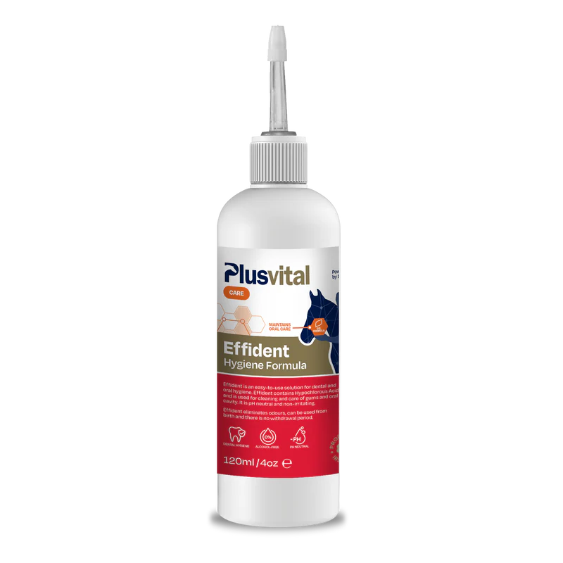 Plusvital Effident 120ml Oral hygiene