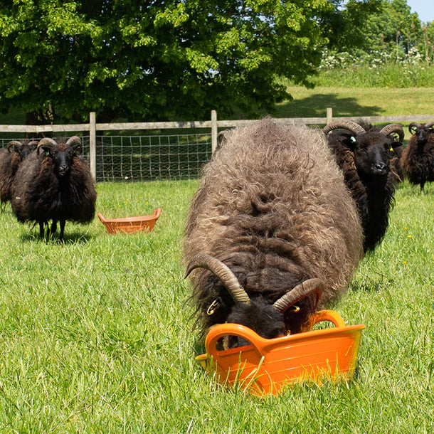 Gorilla Plas small feed skips