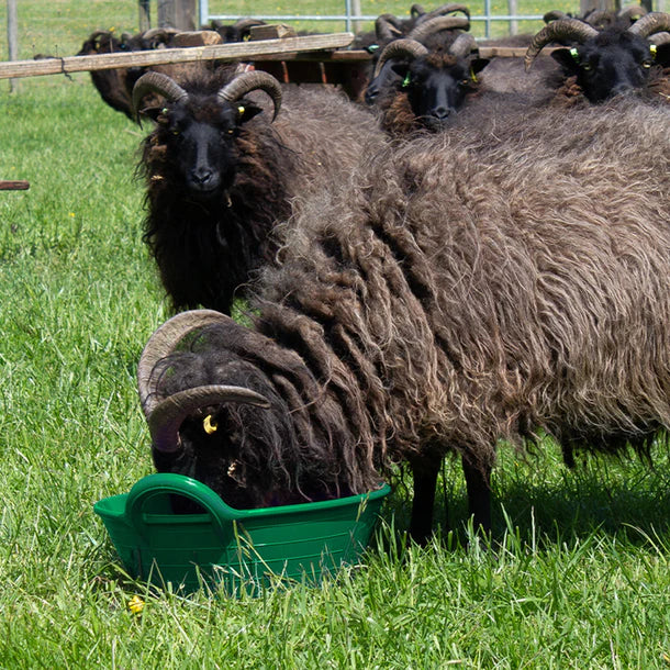 Gorilla Plas small feed skips