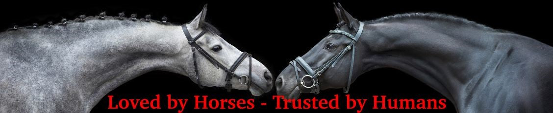 Omega Equine Boswellia Extra 700g