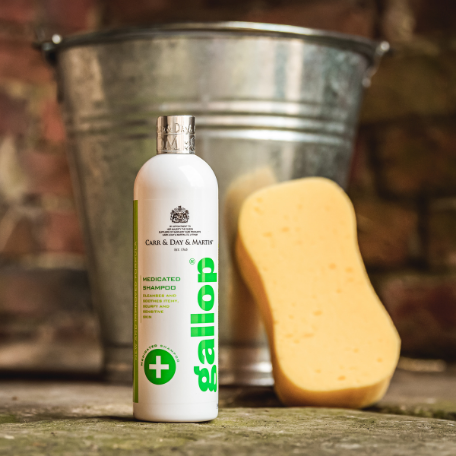 Carr Day and Martin Gallop Medicated Shampoo 500ml