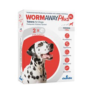 Wormaway plus XL dog