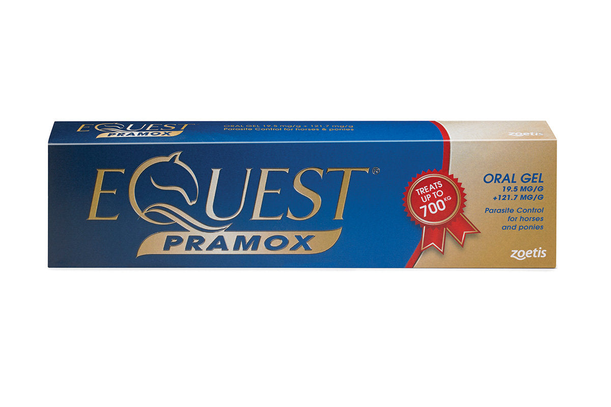 Equest Pramox 19.5g