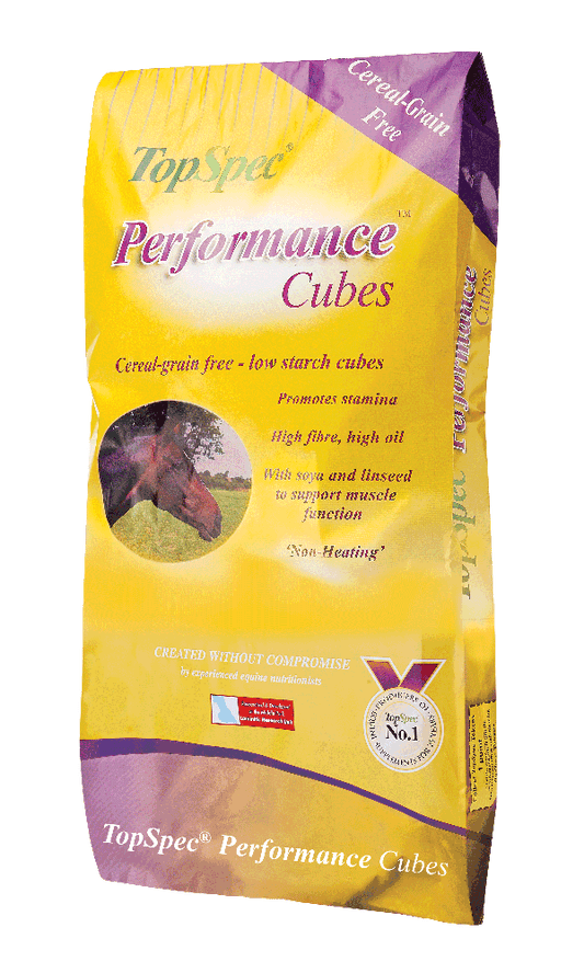 TopSpec Performance Cubes 20kg