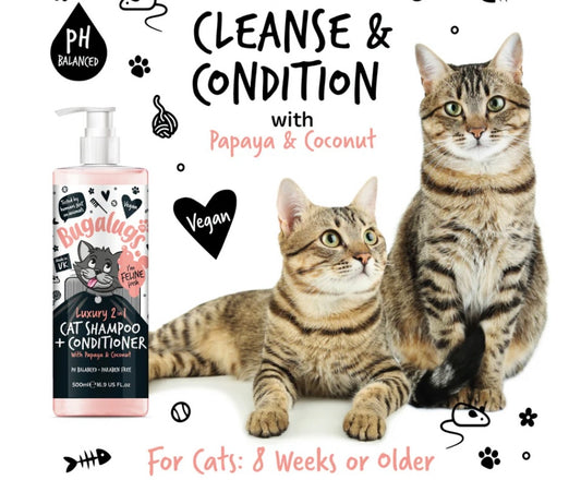 Bugalugs 2 in 1 Cat Shampoo Papaya & Coconut 250ml