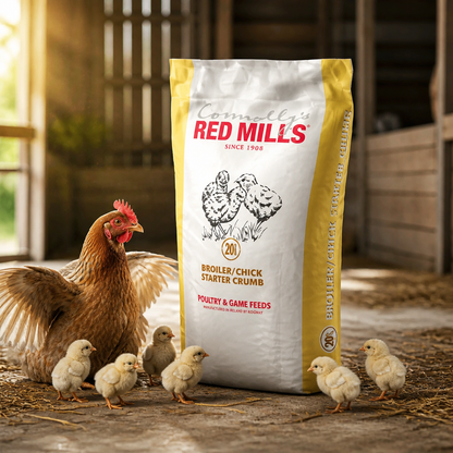 Broiler chick crumb 20%  5kg  Redmills