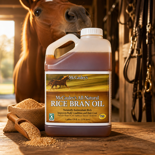 Mc Cauleys Rice Bran Oil 3.78L