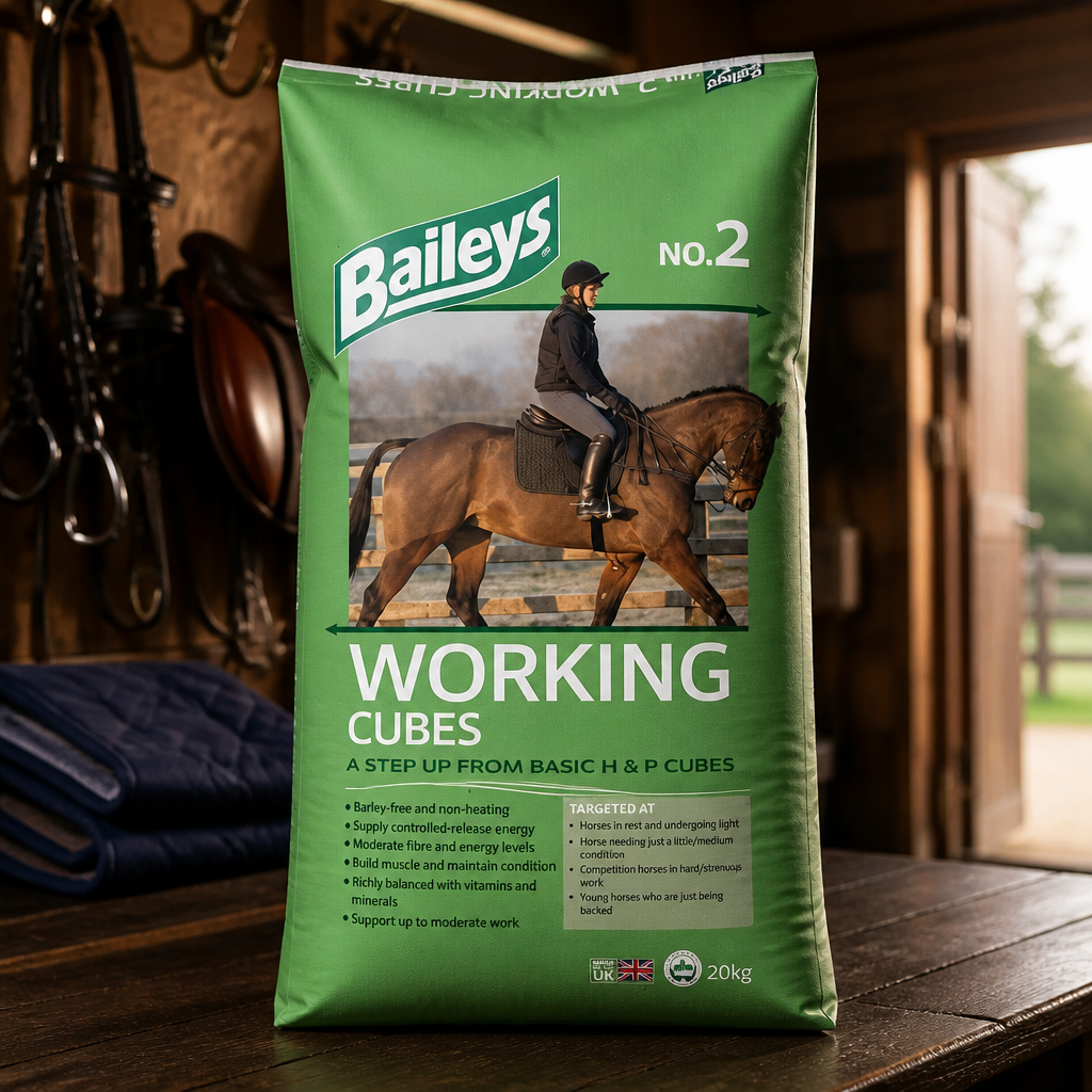 Baileys No 2 Working Cubes 20kg