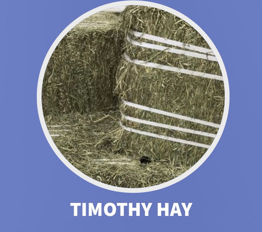 CANADIAN TIMOTHY HAY**IN STORE COLLECTION ONLY**