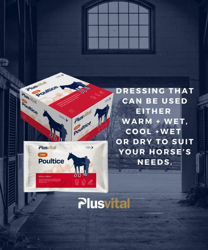 Plusvital Poultice (singles)