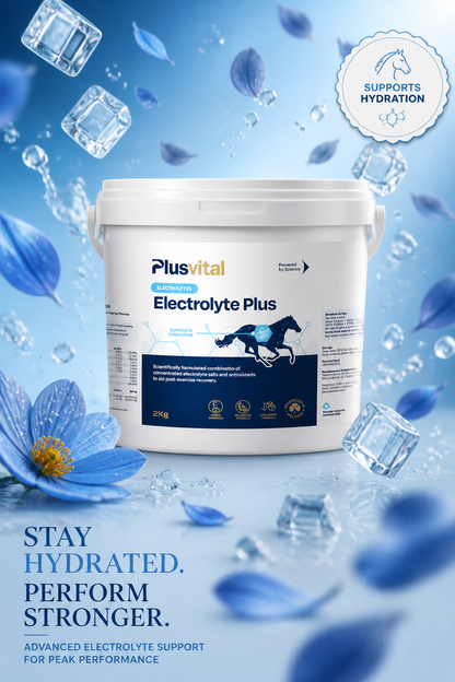 Plusvital Electrolyte Plus 2kg