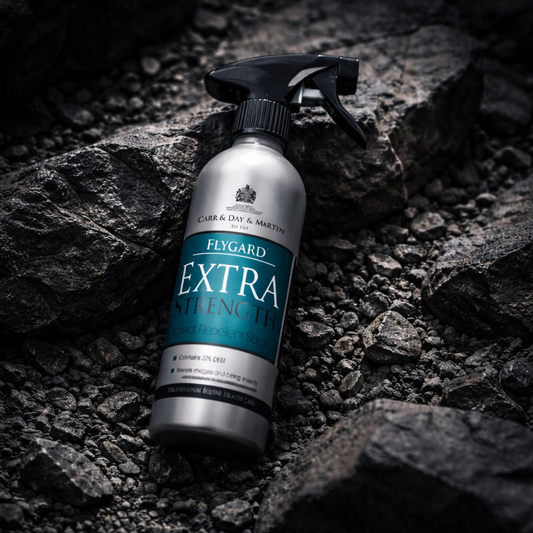 Carr Day and Martin Flygard Extra Strength 500ml