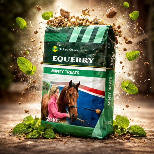 Equerry Minty Treats 20kg
