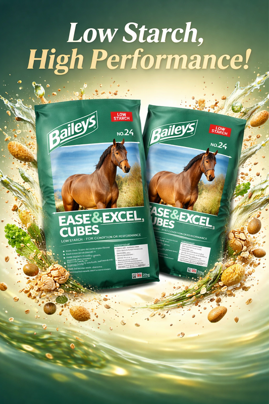 Baileys Ease & Excel no 24