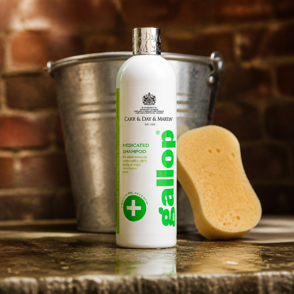 Carr Day and Martin Gallop Medicated Shampoo 500ml