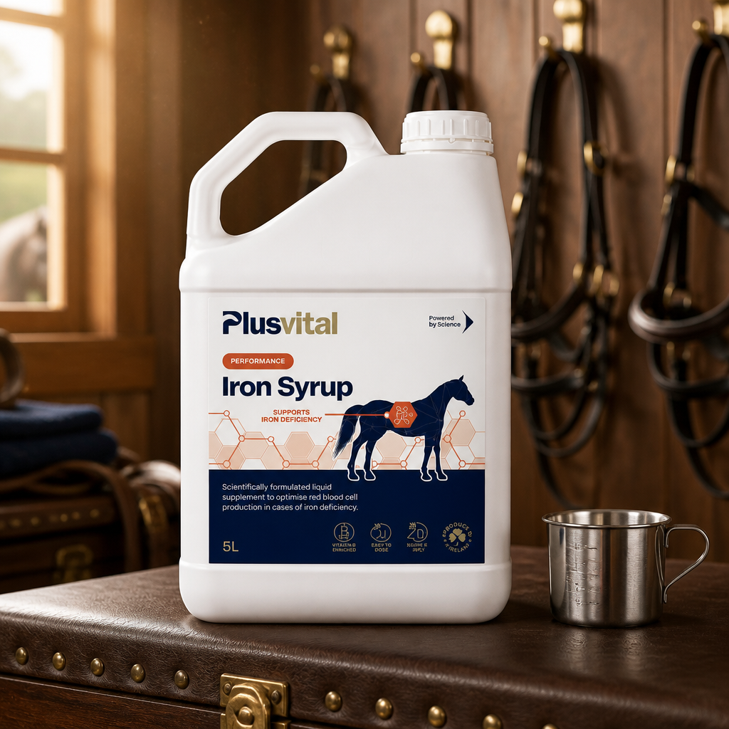 Plusvital Iron Syrup 5L