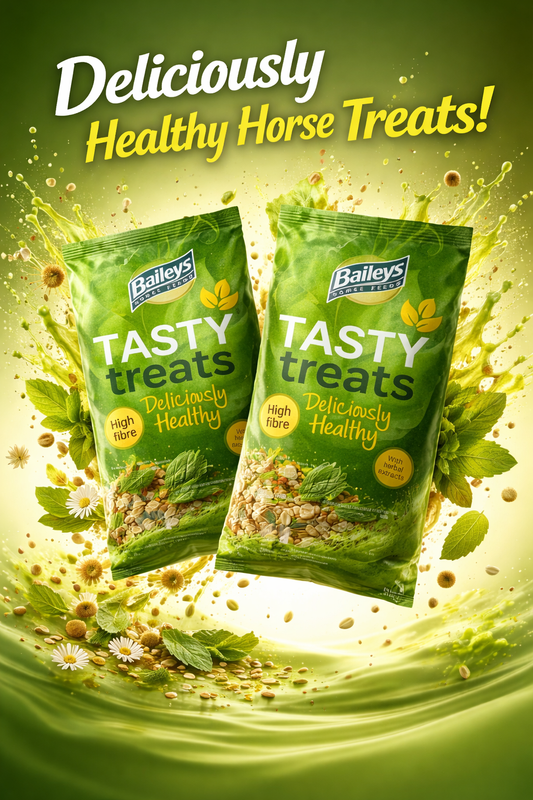 Baileys Tasty Treats pouch 1kg